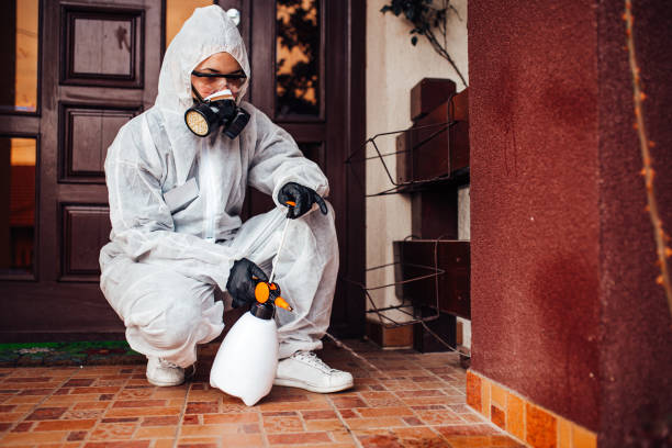 Reliable Wasp Removal contractor in West Elmira, NY by Show Me Pest Control